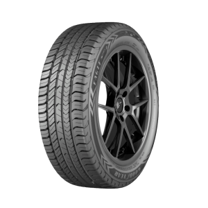 Goodyear 195/55 R16 91V XL Eagle Sport 2